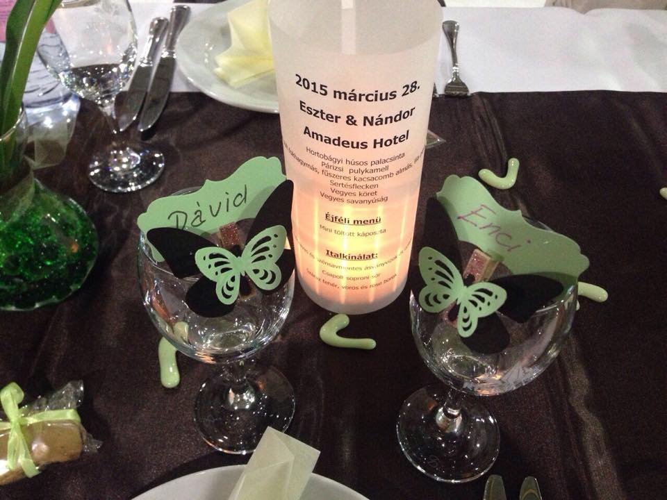 11637849_10206042585097517_64581_n