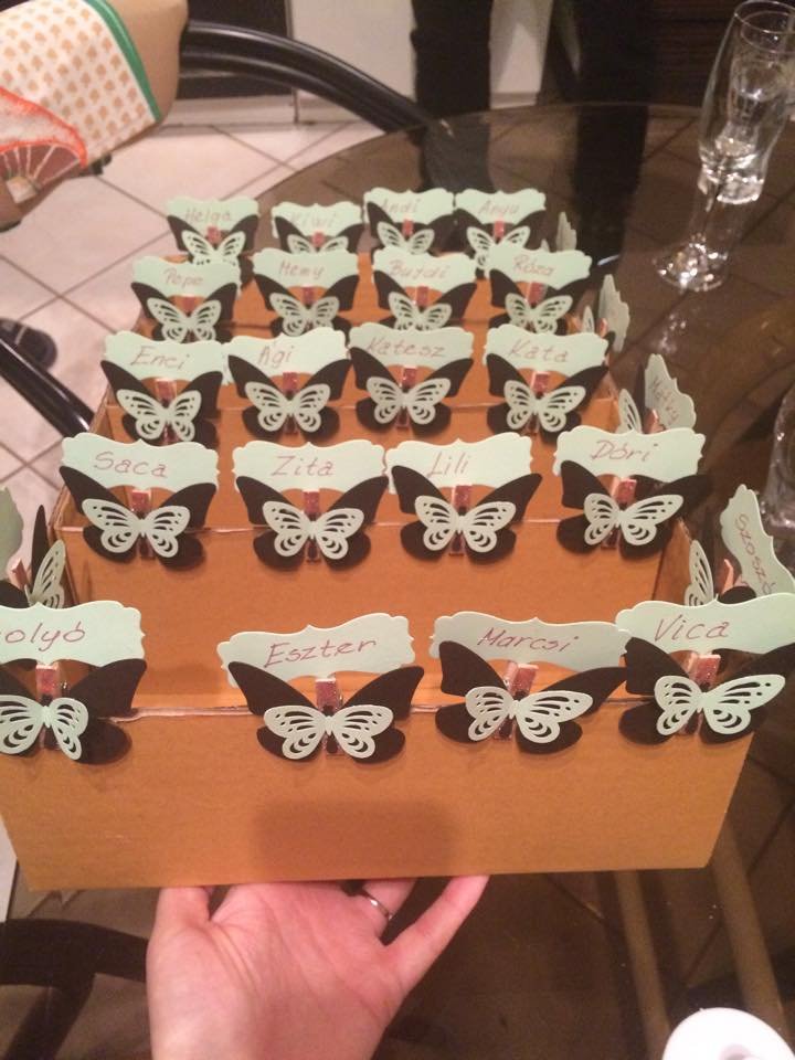 11650529_10206042588777609_1838833060_n