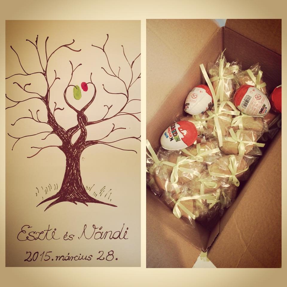 11650602_10206042585457526_343638687_n