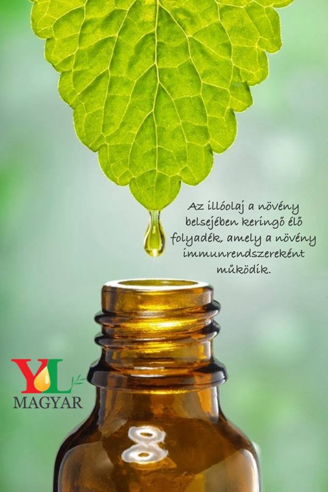 14724574_10154765005212189_7258305480998532173_n