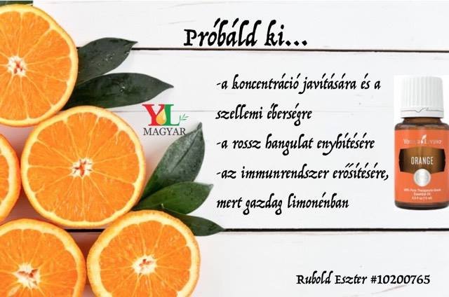 14793672_10209628191415434_1656025563_n