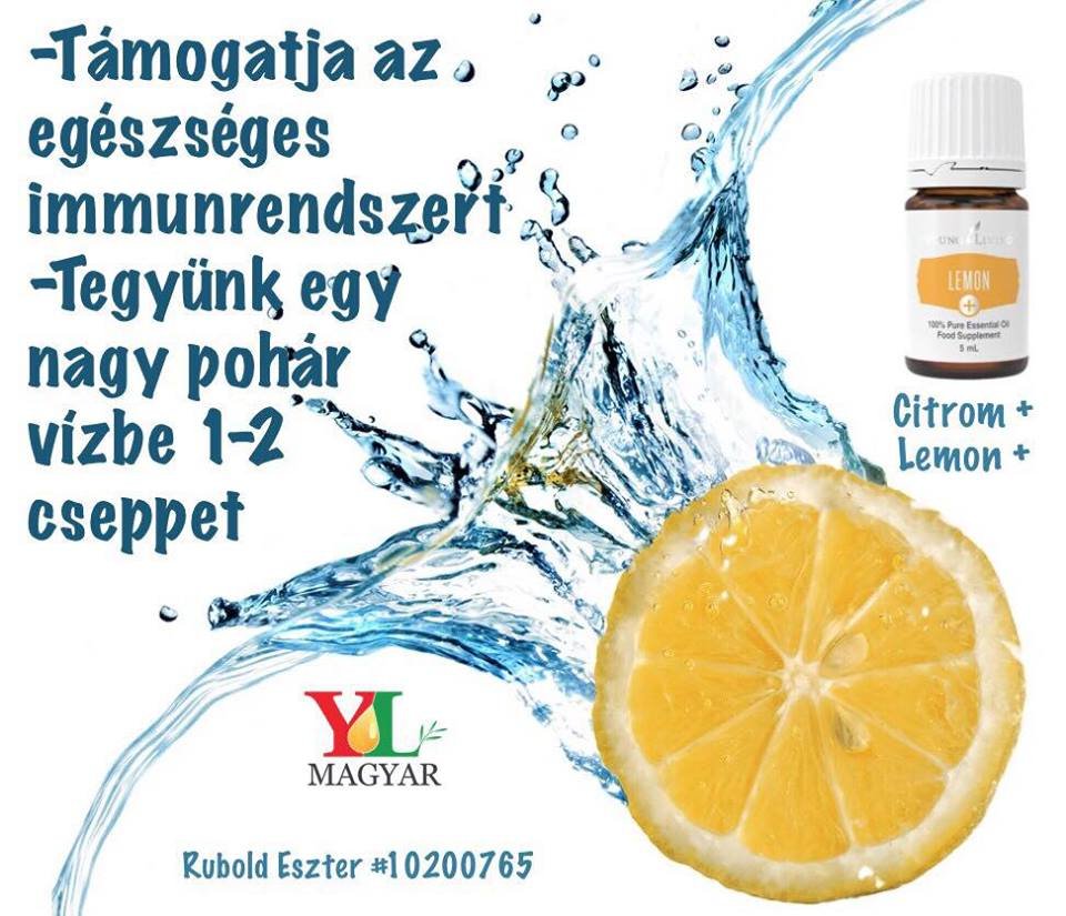 14801121_10209628192375458_1864402478_n