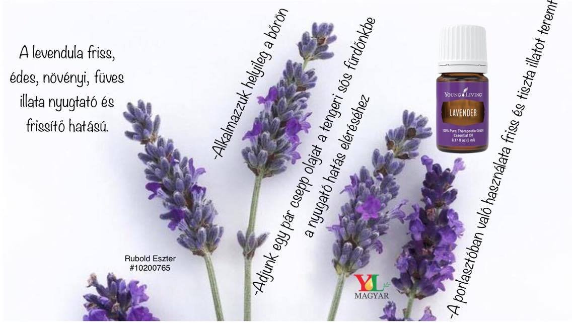 14876317_10209683066427275_502383623_o